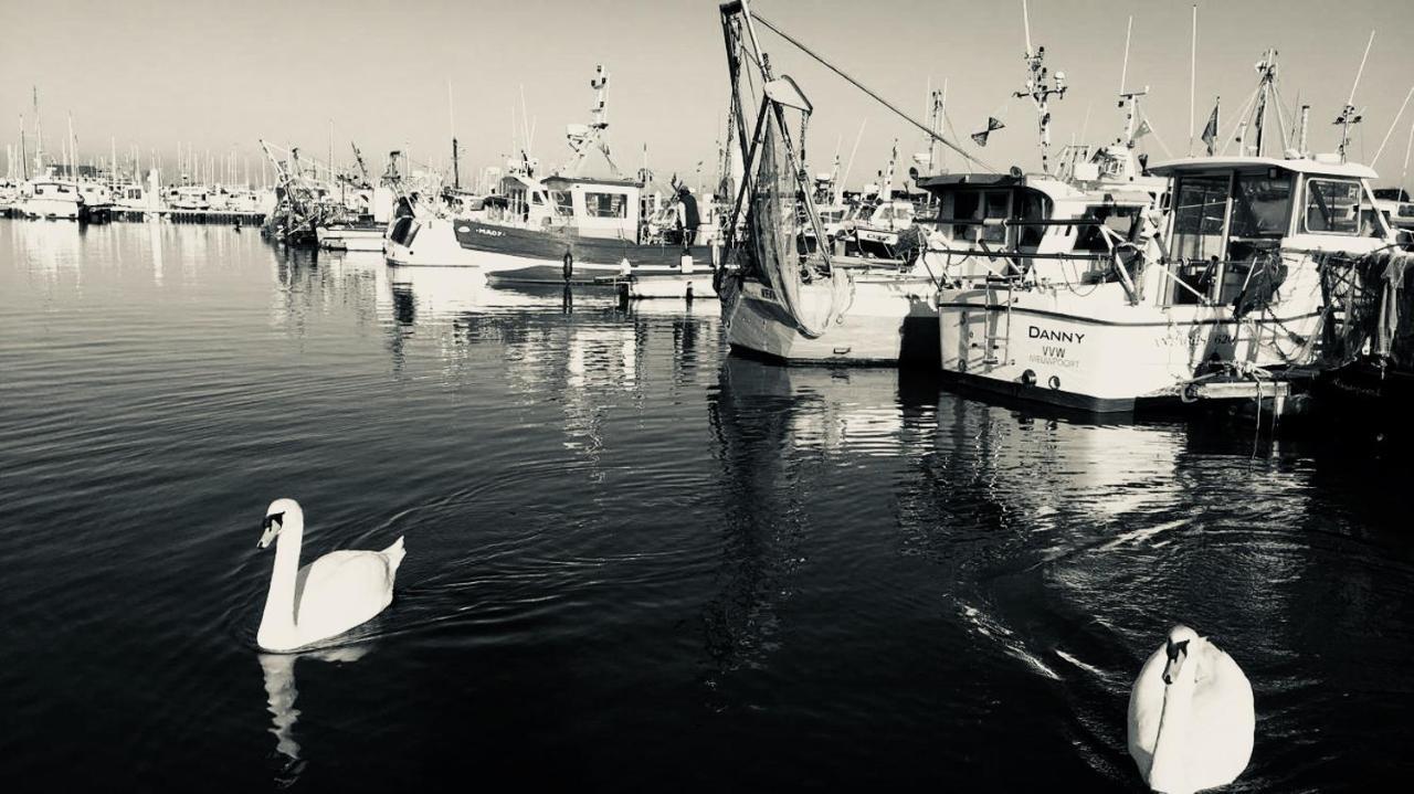 Une Pause...Quelque Part Nieuwpoort Zewnętrze zdjęcie